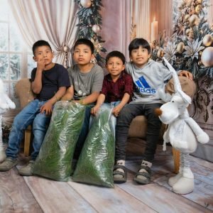 pexels-walter-cordero-682282228-33408898